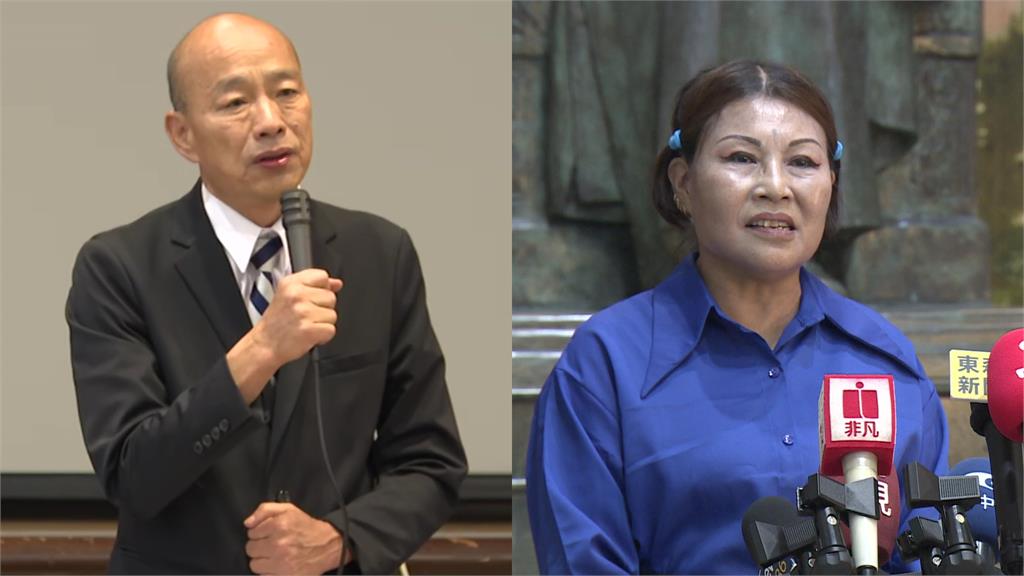 國民黨中常委何鷹鷺怒批韓國瑜率領朝野立委赴日進行國會外交。圖／台視新聞