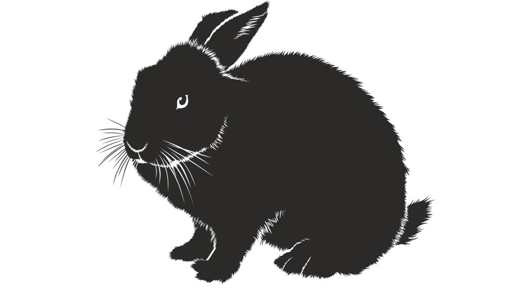 2023兔年其實是「黑兔年」。示意圖／翻攝自Pixabay@Christophe
