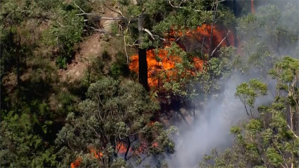 澳洲熱浪來襲破高溫紀錄，恐引發野火，當局呼籲民眾注意安全。圖：AP Direct