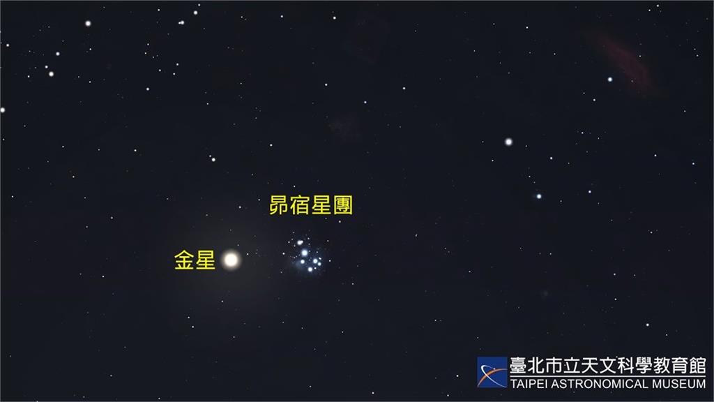 4月11日金星合昴宿星團之模擬圖。圖／天文館提供