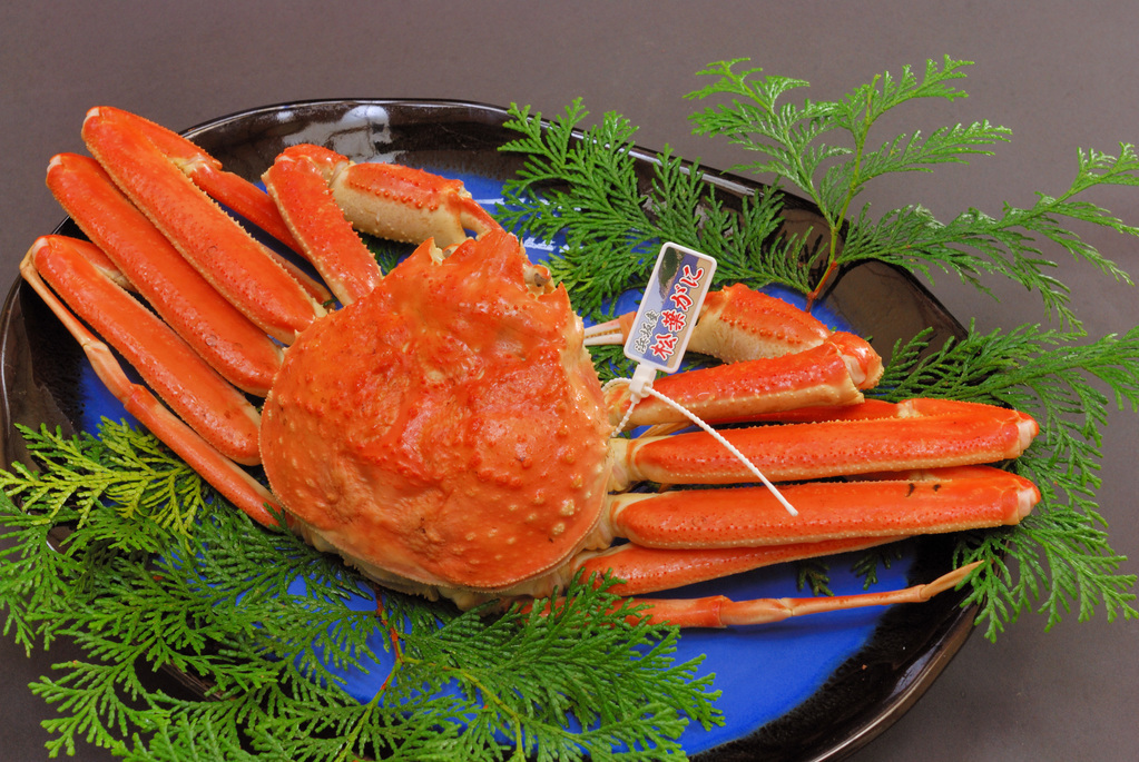 日本兵庫縣新溫泉町今年首度推出頂級松葉蟹品牌「煌星」，頭一次競標，就以一隻台幣55萬天價賣出。示意圖／翻攝自新溫泉町官網（非當事畫面）