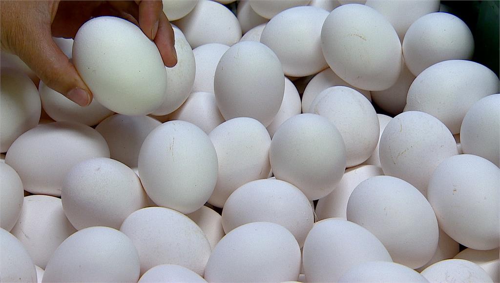 網傳金門雞蛋不能帶到台灣本島，防檢局表示，並沒有禁止金門雞蛋輸台。示意圖／台視新聞（資料畫面）