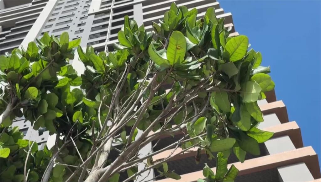 4月女嬰伴父母雙屍3天奇蹟存活！最快本週出院 社會局將評估後續安排