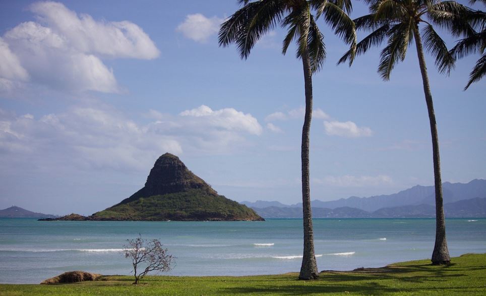夏威夷歐胡島出現首例本土Omicron病例。圖／翻攝自Pixabay
