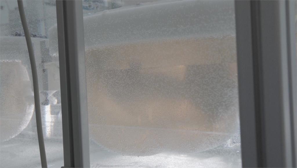 提高存活率！荷蘭團隊研發「人造子宮」 將成早產兒家庭福音