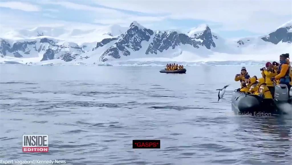 企鵝為了逃命奮力跳上橡皮艇。圖／翻攝自Inside Edition