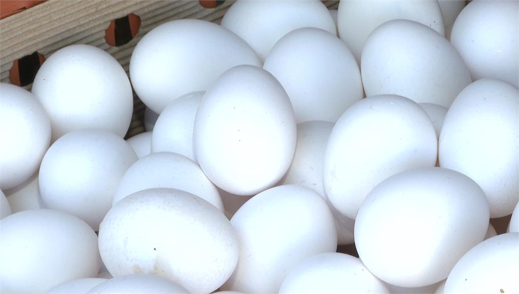 農業部宣布暫緩進口蛋。圖／台視新聞