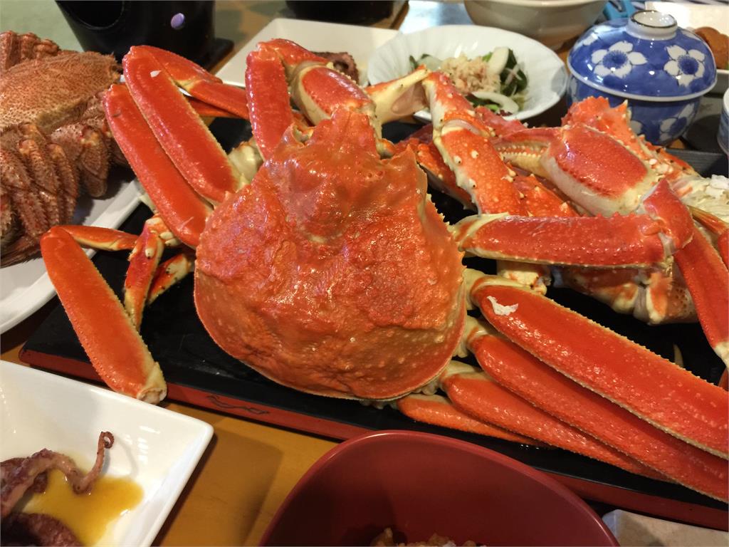 日本競標松葉蟹。圖／翻攝自flickr@bryan...（示意圖，非新聞事件松葉蟹）