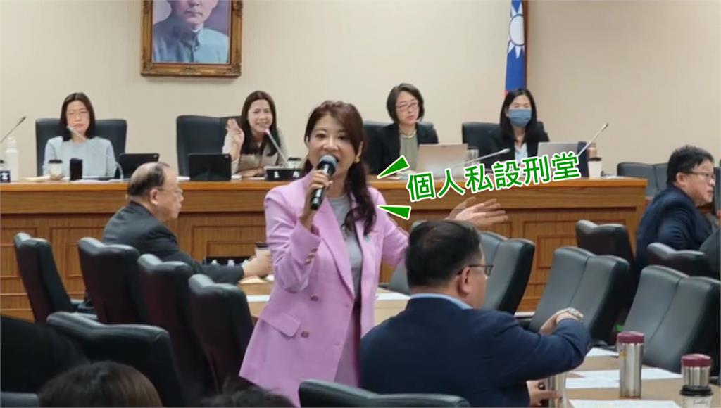 批僑委會考察報告玩文字遊戲 徐巧芯酸：不如寫「夭壽讚」