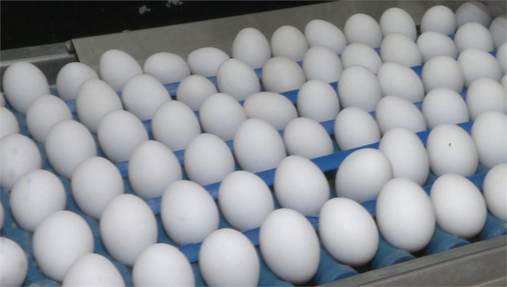 雞蛋價每台斤再漲3元。圖／台視新聞