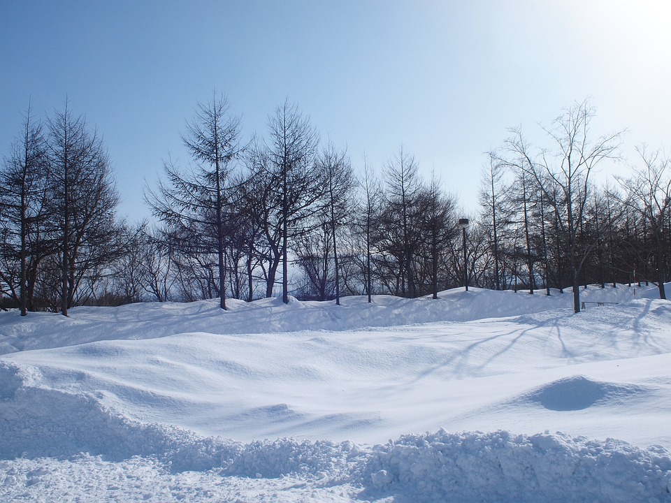 北海道氣溫創下本季最冷。示意圖／翻攝免費圖庫Pixabay