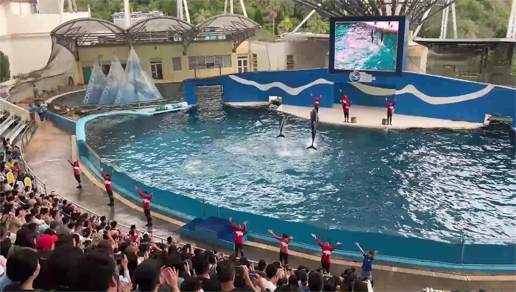 花蓮遠雄海洋公園10年「海豚秀」走入歷史 將轉型成守護基地