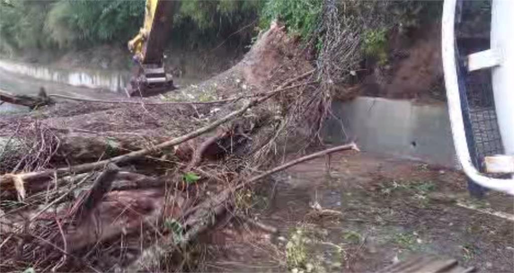 受到風雨影響，中橫公路一處樹木倒塌。圖／台視新聞