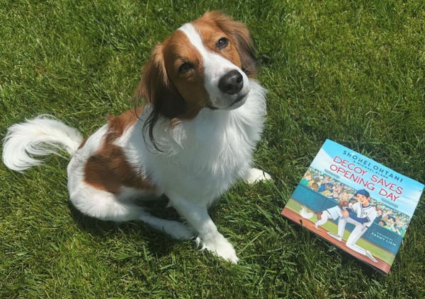 大谷翔平推出童書，由愛犬Dekopin擔任故事主角。圖／翻攝自IG@shoheiohtani
