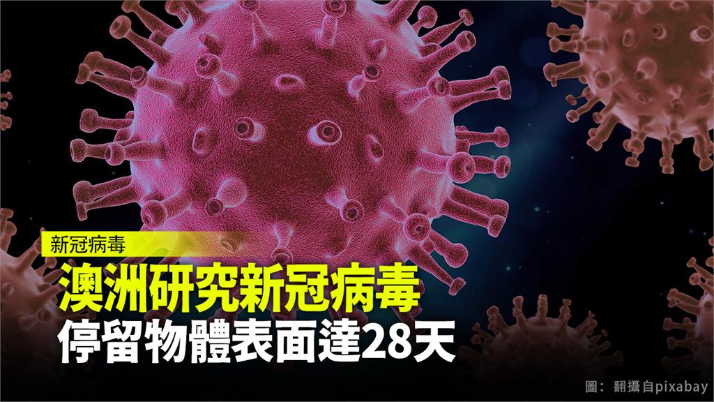 新冠病毒附著手機螢幕、鈔票 存活達28天