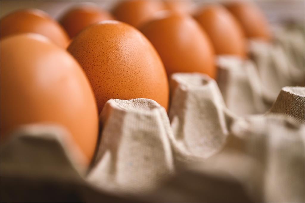 澳洲爆發禽流感疫情，雞蛋供應吃緊。圖／翻攝自Pixabay（非當事畫面）