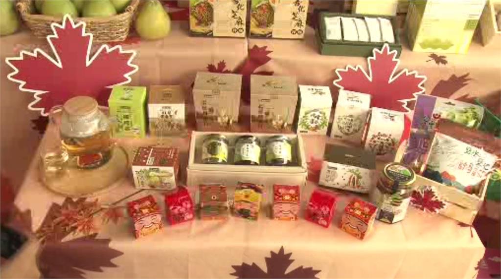 5公噸麻豆文旦外銷，加拿大舉辦「台南週」。圖／台視新聞