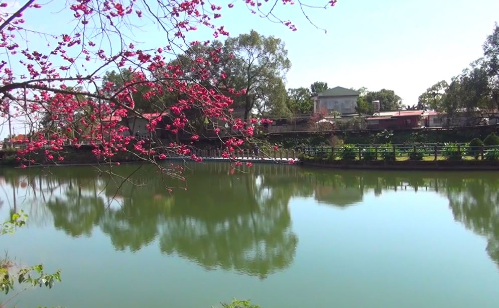 碧赫潭粉嫩櫻花加上湖畔倒影 祕境隱身花蓮