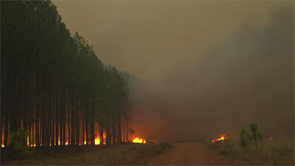 阿根廷野火延燒。圖／翻攝自AP Direct