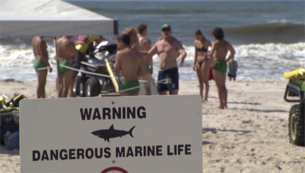 美國紐約州長島海岸最近經常發生鯊魚攻擊遊客及救生員的事件。圖／CNN