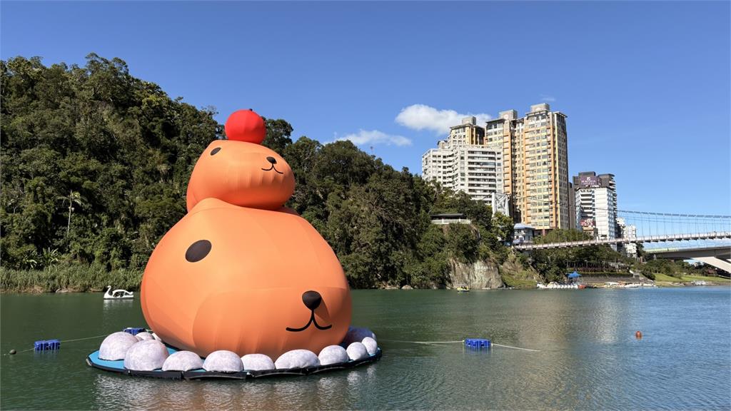 「呆在碧潭の水豚君」限定造型雞蛋糕、偶裝見面會時間公開！