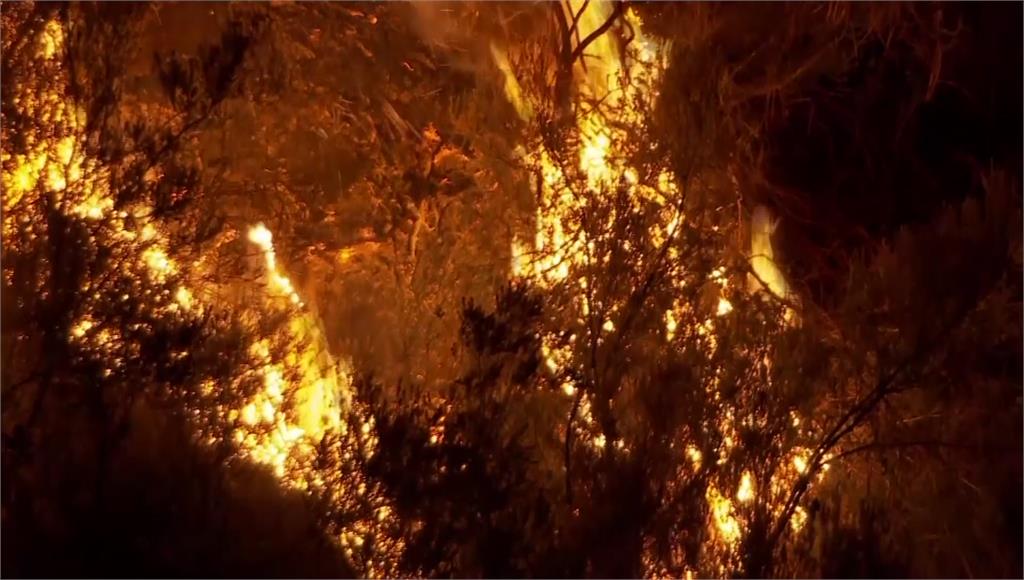 葡萄牙森林大火。圖／美聯社、路透社