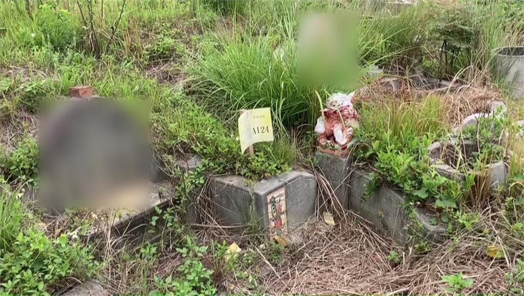 新竹大崎墓園的墓園被釘上木樁。圖／台視新聞