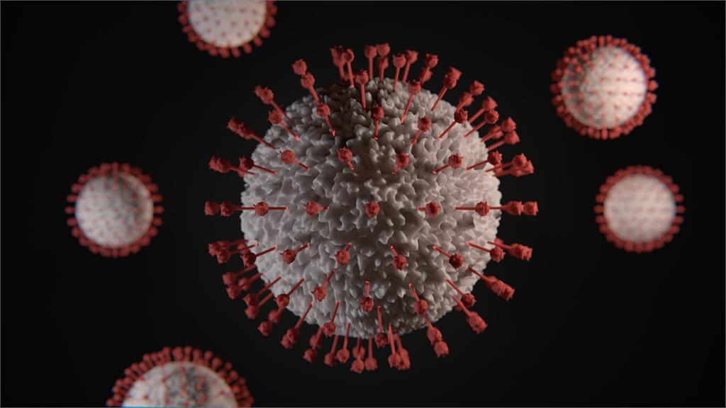 越南發現新的新冠病毒變種病毒株。圖／翻攝自unsplash