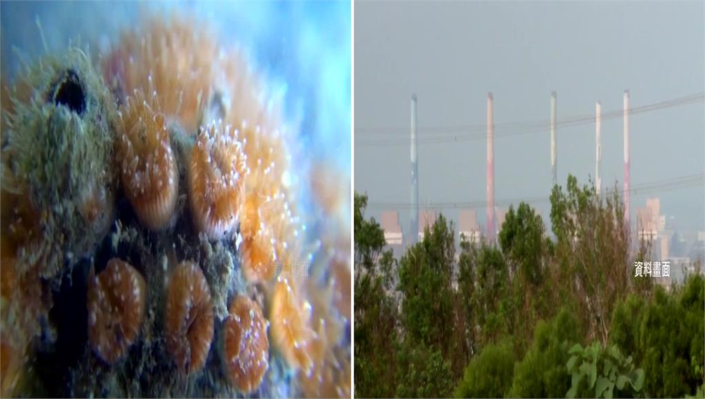 王美花表示藻礁公投若通過，將增加500萬噸燃煤，被質疑在威脅民眾。圖：台視新聞資料畫面