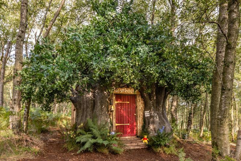 小熊維尼樹屋。圖／翻攝自Airbnb網站