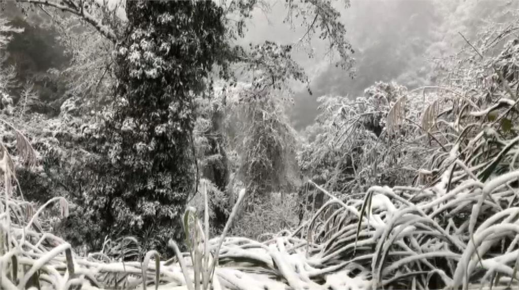 聽見下雪的聲音了嗎？ 拉拉山夢幻雪世界