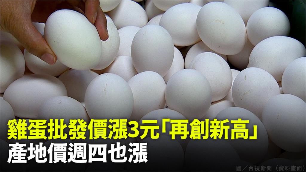 國內雞蛋缺口仍大，批發價明天起漲到55元。圖／台視新聞