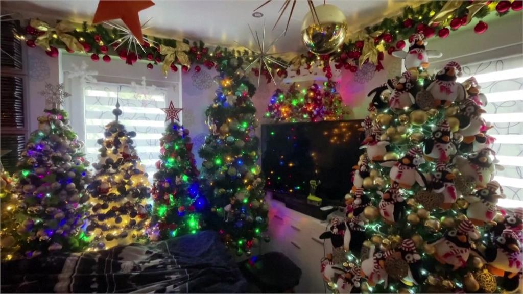住家內堆滿各式各樣的耶誕樹。圖／路透社