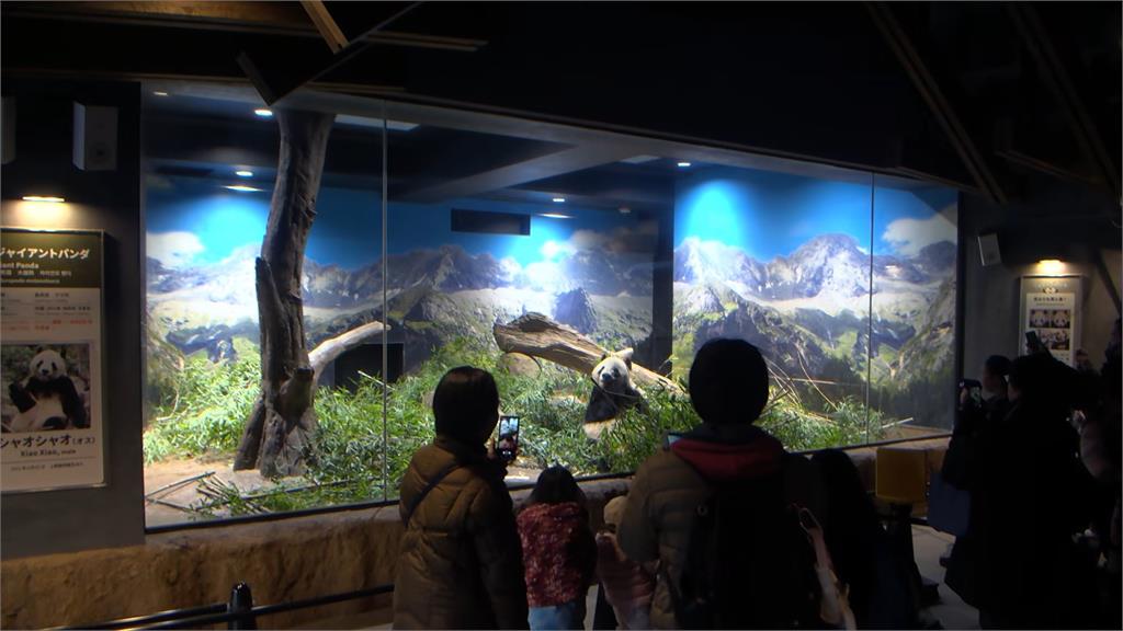 上野動物園貓熊曉曉、蕾蕾明歸還中國 日本民眾不捨落淚道別