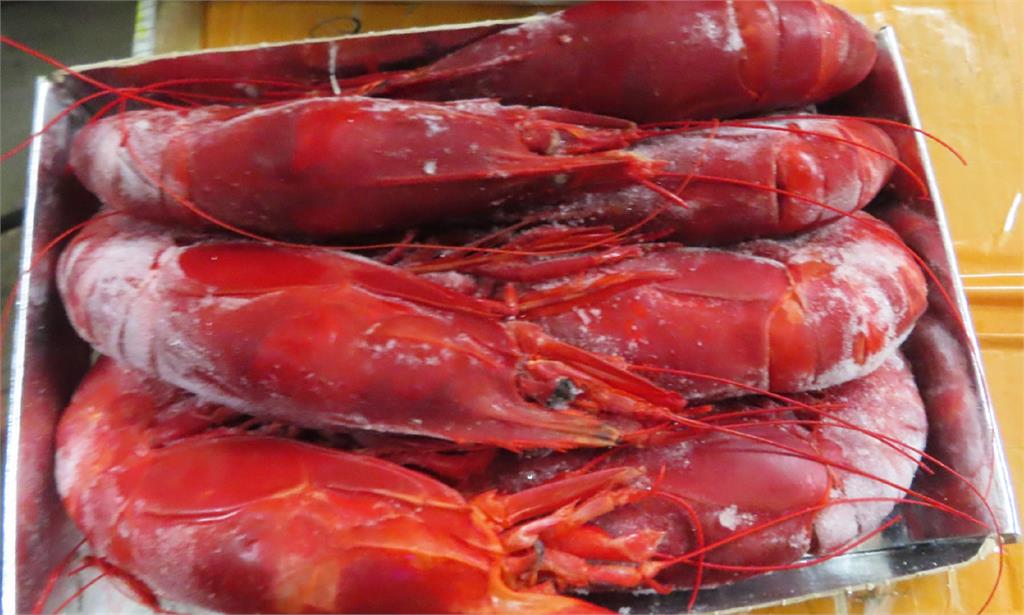 法國出口的地中海紅蝦重金屬含量超標。圖／食藥署