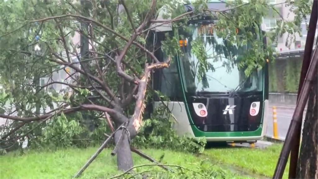 大雨襲高雄出現災情！輕軌遭樹木砸毀 停駛50分鐘「幸無傷」