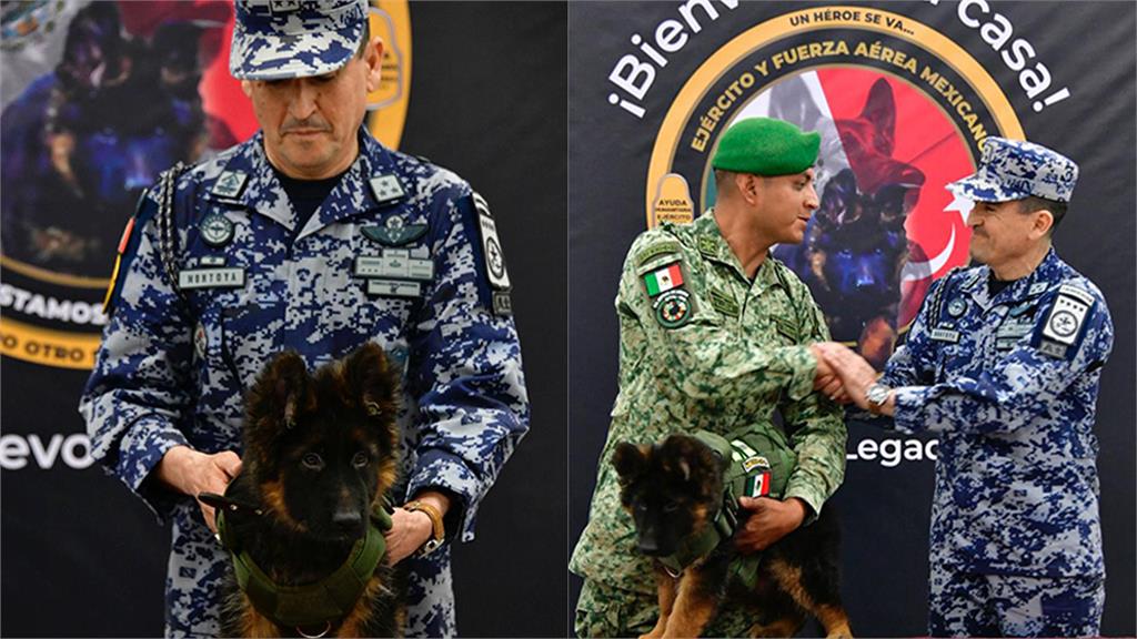 土耳其回贈搜救犬「Arkadas」給墨西哥。圖／翻攝自Twitter@SEDENAmx