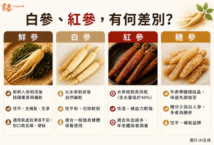 人參種類怎麼分？白參、紅參功效與差別一次看懂