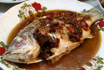 魚類10大營養功效：改善視力、預防失智、促進傷口癒合