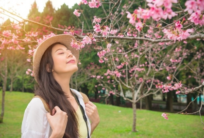 四季養生這樣做！春養肝、夏養心、秋潤肺、冬補腎