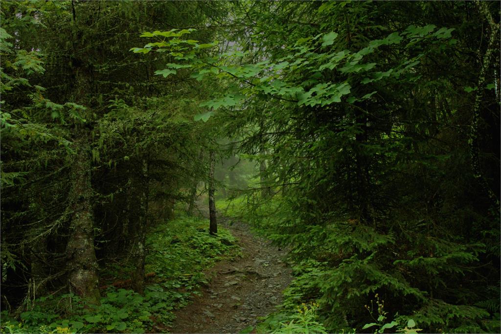 日11歲男童失蹤命案 繼父坦承犯案「人是我殺害」