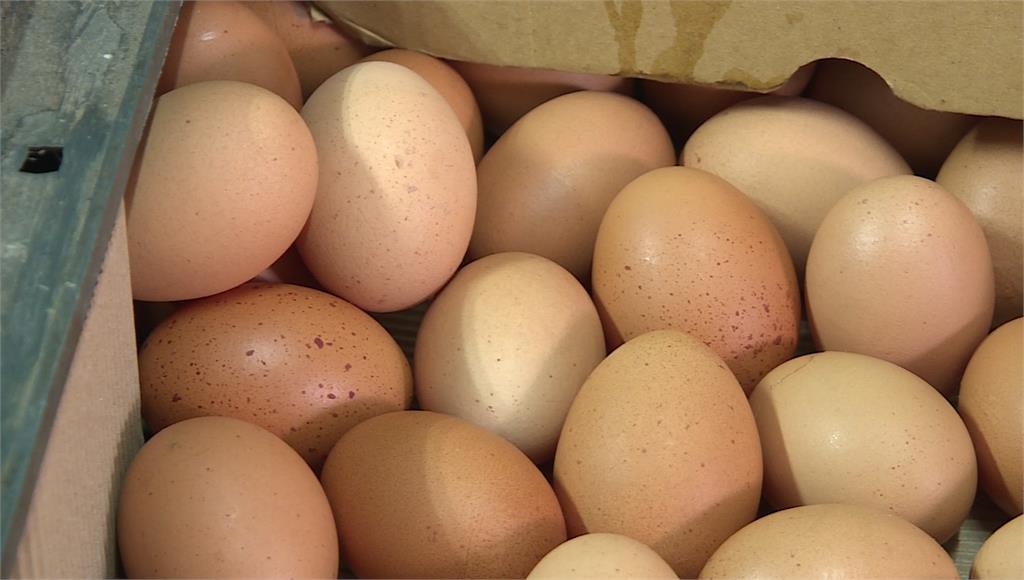 雞蛋產量過剩，蛋價連兩週降價。圖／非凡新聞