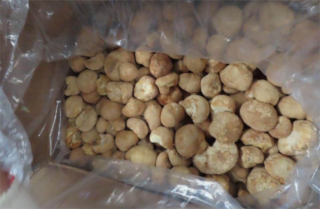 中國出口「猴頭菇」檢出農藥殘留。圖／食藥署提供