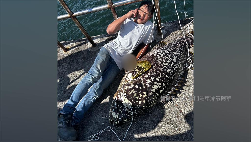 捕獲「史詩級」130斤龍膽石斑！釣客喜製魚拓紀念曝： 不是最高紀錄