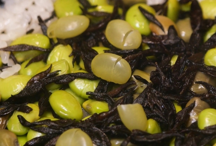 減重與增肌都需高蛋白  吃素怎麼辦？廚師公開5大高蛋白食材聰明搭
