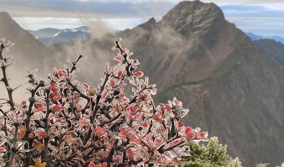 玉山「凍」了！鄭明典分享「凍雨」美景