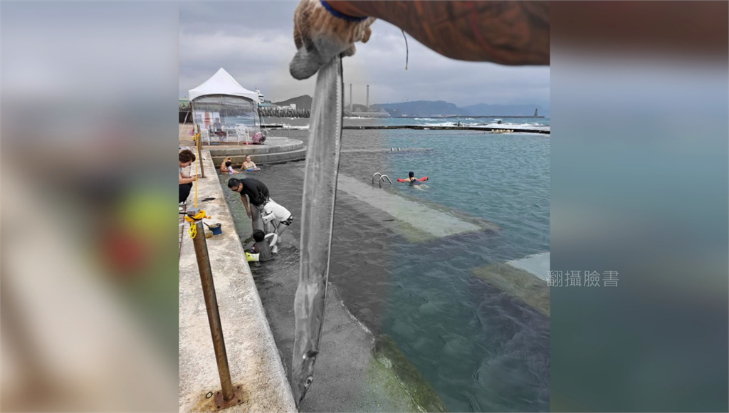 和平島公園泳池救生員違反規定，捕白帶魚還現場宰殺。圖／翻攝自臉書