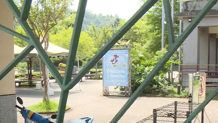台北市立動物園每日入園上線人數自3600人，提升至6000人。圖／台視新聞