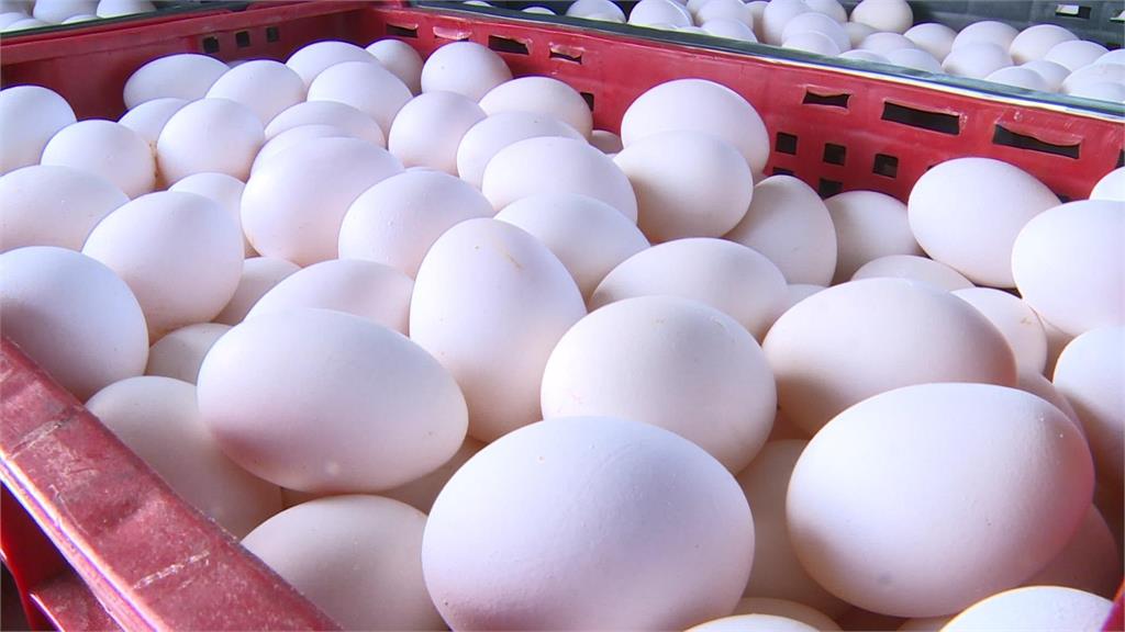 雞蛋市場批發價每斤漲2元，零售價從45元變成47元，創下歷史新高。圖／台視新聞