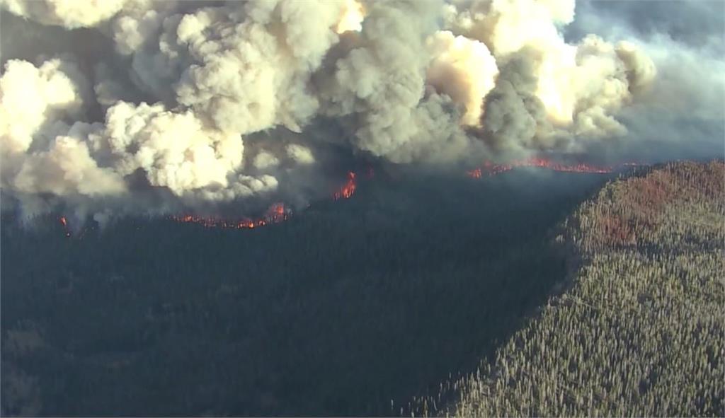 科羅拉多州野火災情不斷。圖：翻攝自AP direct